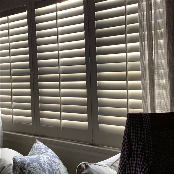 Meet your Posher, Bradley - Picture 1 of 1